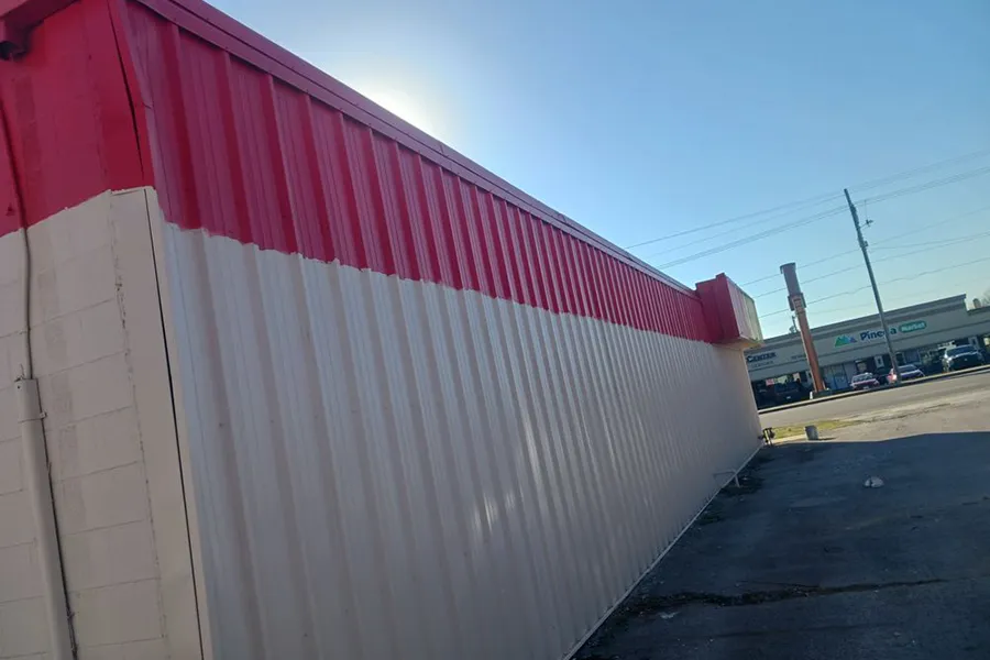 Professional Painter